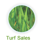 Turf Sales